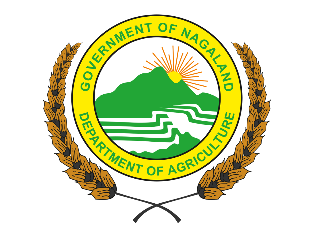 Logo 29